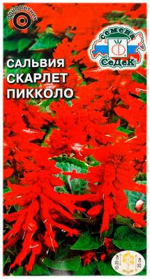 Сальвия СКАРЛЕТ ПИККОЛО СеДеК