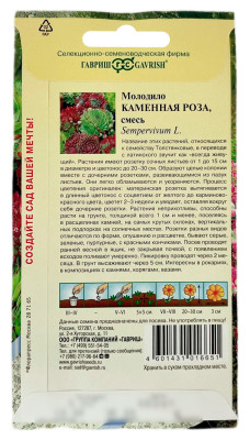 Молодило Каменная Роза ГАВРИШ описание