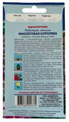 Лобулярия ФИОЛЕТОВАЯ КОРОЛЕВА АКВАРЕЛЬ описание