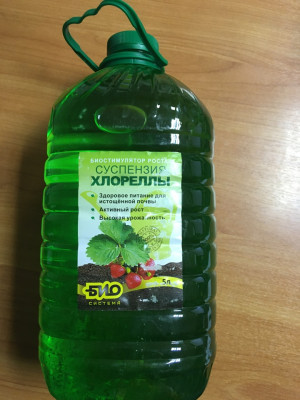 Суспензия Хлореллы 5л Био-система