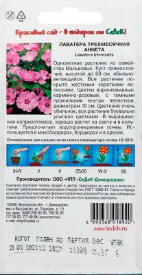 Лаватера Аннета (трехмесячная)