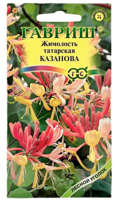 Жимолость татарская КАЗАНОВА ГАВРИШ