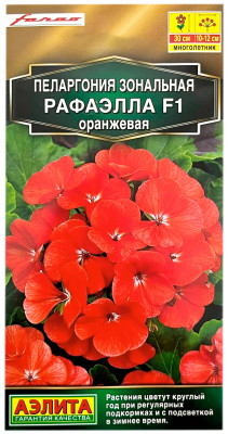 Пеларгония зональная РАФАЭЛЛА F1 ОРАНЖЕВАЯ АЭЛИТА