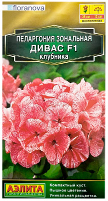 Пеларгония зональная ДИВАС F1 КЛУБНИКА АЭЛИТА