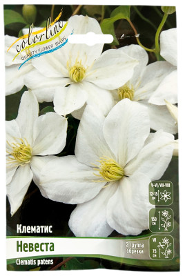 Клематис НЕВЕСТА (2 группа обрезки)