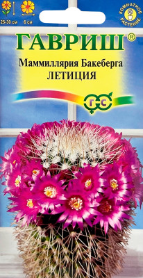 Маммиллярия Бакеберга (Кактус) Летиция ГАВРИШ