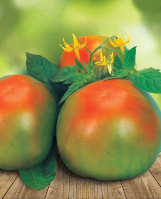 Томат Маскарад F1  5шт