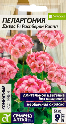 Пеларгония Дивас F1 Распберри Риппл зональная 4шт