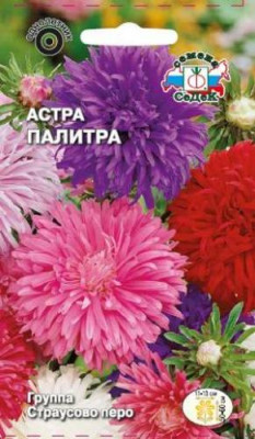 Астра Палитра (страусово перо смесь)