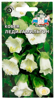 Кобея лазящая ЛЕДИ ГАМИЛЬТОН СеДеК