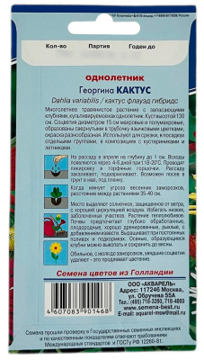 Георгина КАКТУС описание