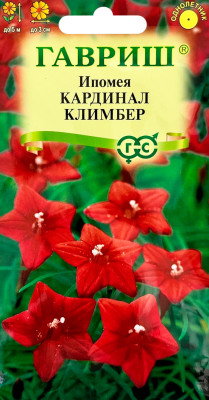 Ипомея Кардинал Климбер ГАВРИШ