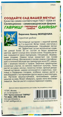 Бирючина Квихоу Молодушка ГАВРИШ описание