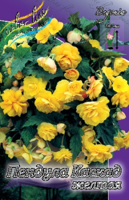 Бегония Пендула Каскад Желтая (1шт) 959