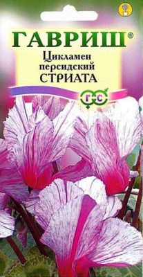 Цикламен Стриата персидский* 3 шт
