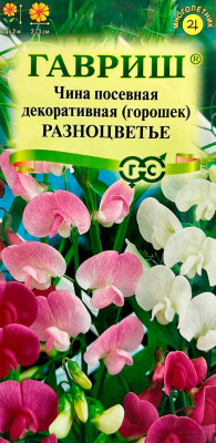 Чина посевная декоративная горшочек РАЗНОЦВЕТЬЕ ГАВРИШ