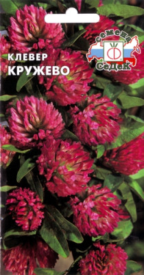 Клевер Кружево