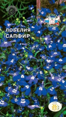 Лобелия Сапфир