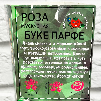 Роза мускусная БУКЕ ПАРФЕ описание