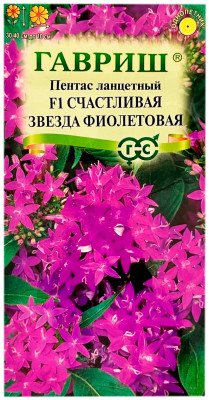 Пентас ланцетный F1 СЧАСТЛИВАЯ ЗВЕЗДА ФИОЛЕТОВАЯ ГАВРИШ