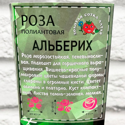 Роза полиантовых АЛЬБЕРИХ описание