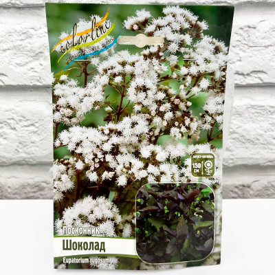 Посконник ШОКОЛАД