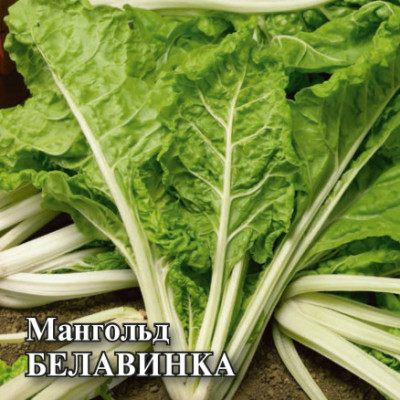 Мангольд Белавинка 25,0 г