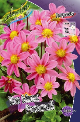 Георгина Топ Микс Розовый (1шт) 3665