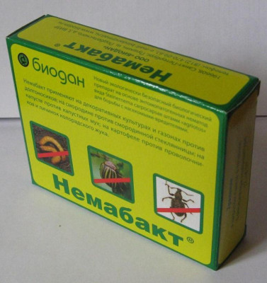Немабакт от проволочника, хруща (личинок майского жука), колорадского жука