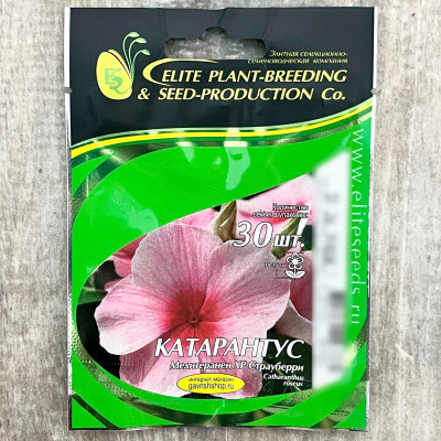 КАТАРАНТУС медитеранен ХР СТРАУБЕРРИ ГАВРИШ