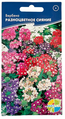 Вербена РАЗНОЦВЕТНОЕ СИЯНИЕ АКВАРЕЛЬ