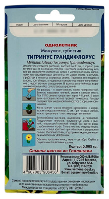 Мимулюс губастик ТИГРИНУС ГРАНДИФЛОРУС АКВАРЕЛЬ описание