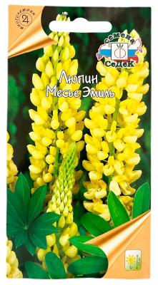 Люпин многолетний МЕСЬЕ ЭМИЛЬ СеДеК