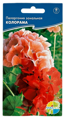 Пеларгония зональная Колорама АКВАРЕЛЬ