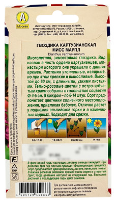 Гвоздика картузианская МИСС МАРПЛ АЭЛИТА описание