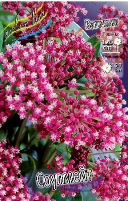 Ваточник Соулмейт (1шт) 31