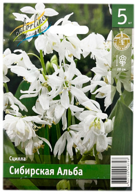 Сцилла Сибирская Альба