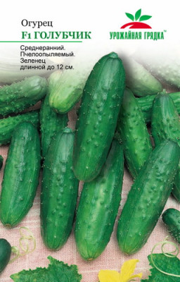 Огурец Голубчик F1 УГ