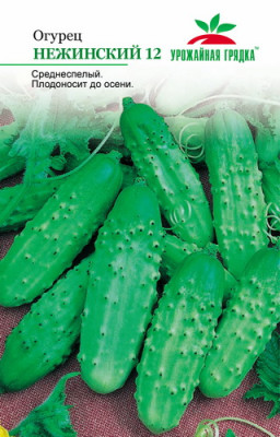 Огурец Нежинский УГ