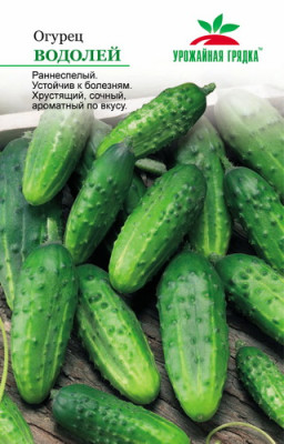 Огурец Водолей УГ