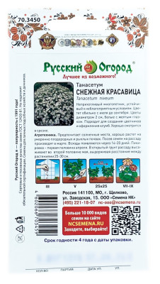 Танасетум снежная красавица Русский Огород описание
