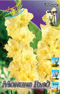 Гладиолус Монинг Голд (1шт) 1588
