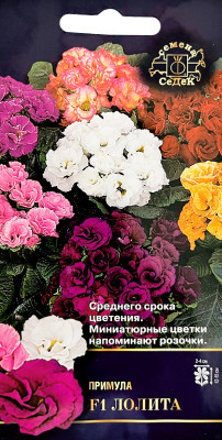 Примула Лолита F1 (бесстебельная)