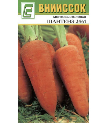 Морковь Шантанэ 2461