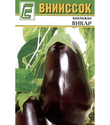 Баклажан Викар