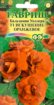 Бальзамин Искушение оранжевое Уоллера F1 4шт