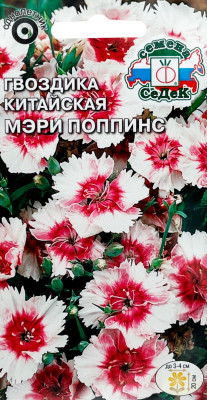 Гвоздика китайская Мэри Поппинс белая с красным цетром