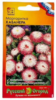 Маргаритка ХАБАНЕРА Русский Огород