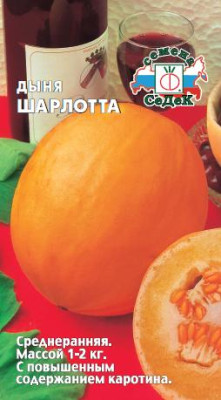 дыня Шарлотта дыня Шарлотта