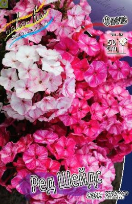 Флокс Ред Шейдс (2шт)